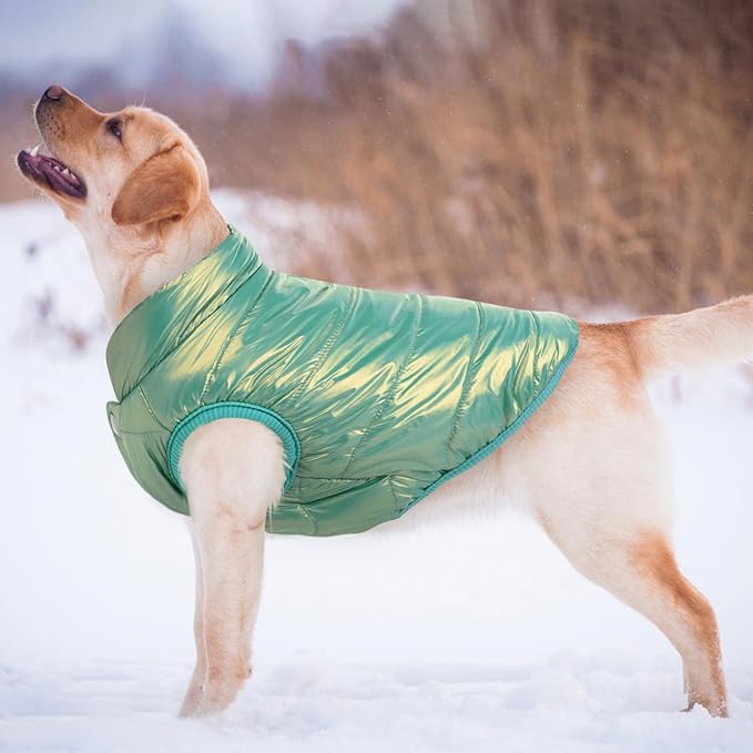 ASENKU Dog Winter Coat - Waterproof Windproof Dog Jacket, Warm Snowproof Doggie Puffer Vest for Cold Weather, Lightweight Snow Coats for Small Medium Large Dogs (Mint Green, L)