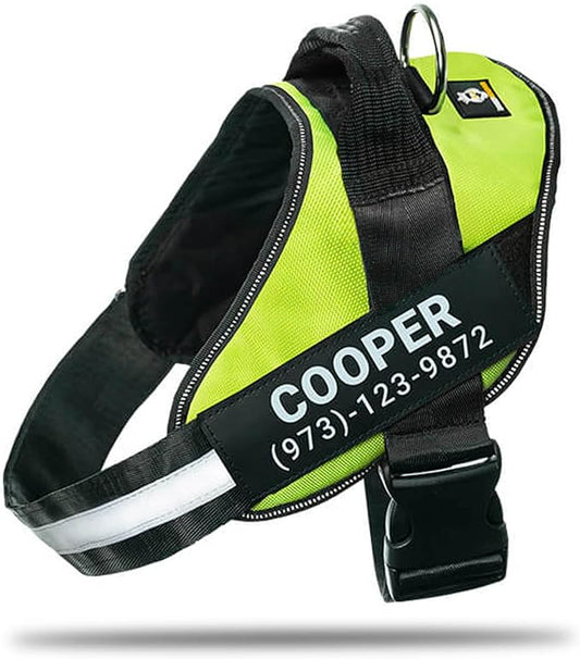 Personalized No-Pull Dog Harness with Name Patch, Adjustable, Reflective, Padded, Heavy Duty Pet Vest to Prevent Tugging, Pulling, or Choking, Training and Walking, Green, M