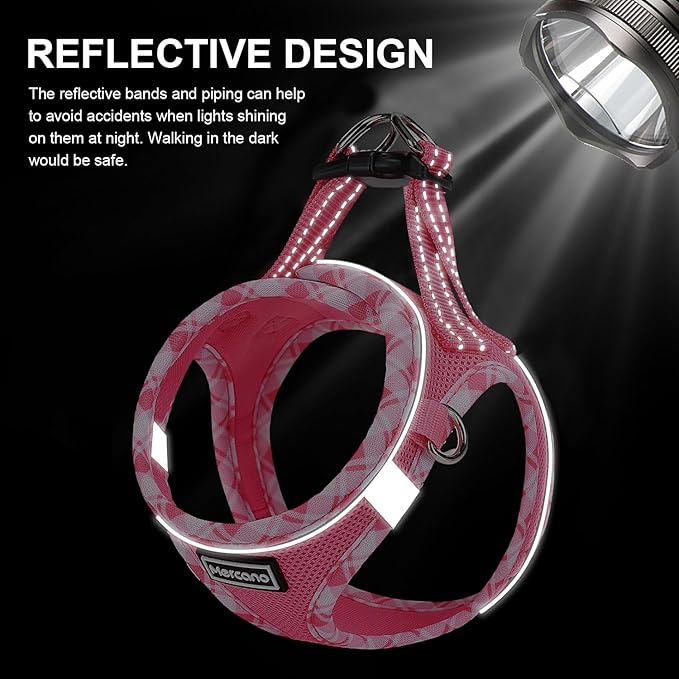 Mercano Soft Mesh Dog Harness and Leash Set, No-Chock Step-in Reflective Breathable Lightweight Easy Walk Vest Harnesses with Safety Buckle for Small Dogs, Cats (M, Fuchsia)