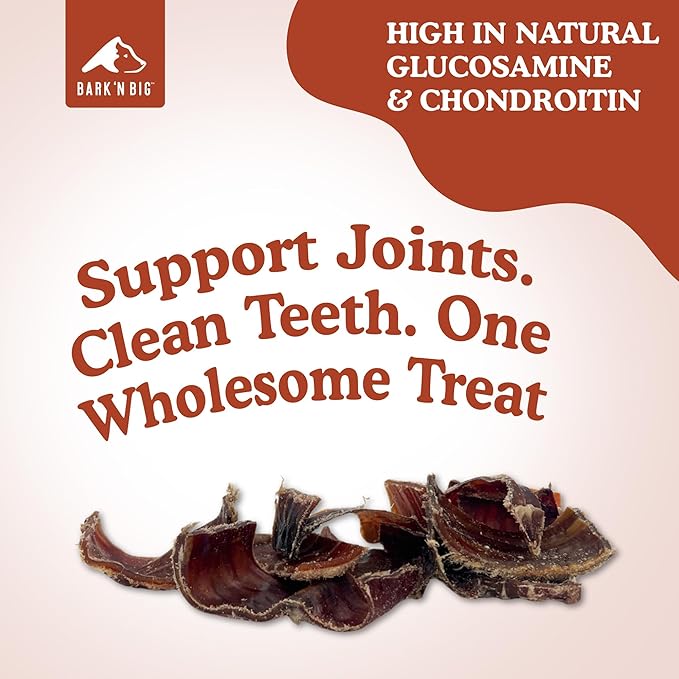 BARK'N BIG Bison Trachea Dog Chews – Natural Trachea for Dogs with Glucosamine & Chondroitin – Single Ingredient Bison Dog Treats – Made in USA - 1 Inch - 10 oz