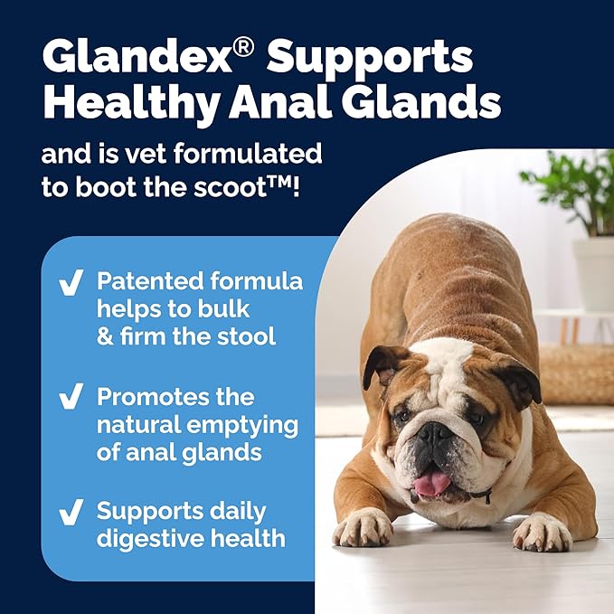 Vetnique Labs Glandex Anal Gland Soft Chew Treats with Pumpkin for Dogs Digestive Enzymes, Probiotics Fiber Supplement for Dogs Boot The Scoot (Bacon/Pork Chews, 60 Count)
