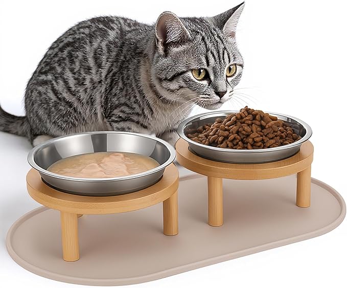 Elevated Cat Bowls with Food Mat,6.3 Inches Shallow Raised Bowls Whisker Friendly,2 Stainless Steel Cat Food and Water Dishes for Cats and Puppies,Dishwasher Safe