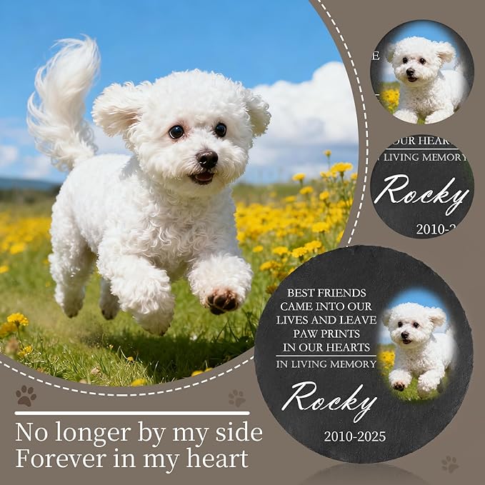 Ships Next Day Personalized Pet Memorial Stone for Loss of Dog Cat, Custom Photo Name Memory Headstone Garden Grave Marker Bereavement Sympathy Gift