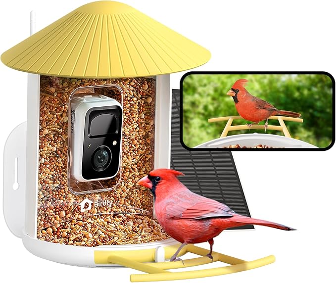 NETVUE by Birdfy Smart Feeder with AI Camera Solar Powered, 2MP Wireless Wildbird Watching, Live Stream & Night Vision, Auto-Capture & Notify, Collection & Cloud Storage (AI by Subscription)