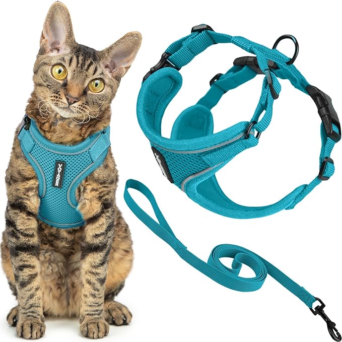 Voyager Escape Proof Cat Harness and Leash Set with Reflective Stitching, Neoprene Handle 5ft - Supports Small, Medium and Large Cats, Kittens for Walking by Best Pet Supplies - Turquoise, XXXS