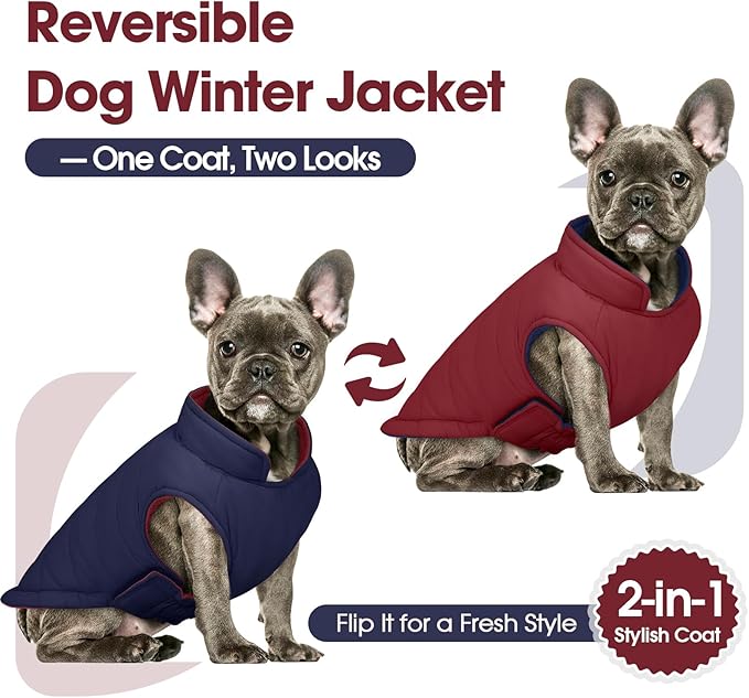 QBLEEV Reversible Dog Coat, Warm Dog Winter Coat for Medium Dogs, Lightweight Windproof Padded Vest for Dogs, Waterproof Adjustable Puffer Cold Weather Jacket for French Bulldog Beagle, Wine Red, M