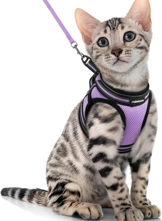 rabbitgoo Cat Harness and Leash Set for Walking Escape Proof, Adjustable Soft Kittens Vest with Reflective Strip for Cats, Comfortable Outdoor Vest, Light Purple, XL