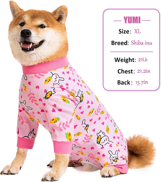 Dog Recovery Suit for Small Medium Large Dogs, Pet Onesie After Surgery Comfort Dog Bodysuit Anti Licking (Small, Bunny Carrot)