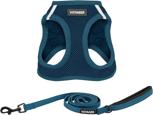Voyager Step-in Air All Weather Mesh Harness and Reflective Dog 5 ft Leash Combo with Neoprene Handle, for Small, Medium and Large Breed Puppies by Best Pet Supplies - Harness Leash Set (Blue), M