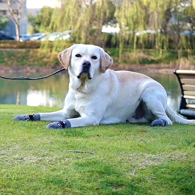 KOOLTAIL Dog Socks for Hot/Cold Pavement to Prevent Licking Paws,Dog Boots&Paw Protector for Hardwood Floors Anti Slip,Traction Control No Twist Grip Booties for Small Medium Large Senior Dogs SM