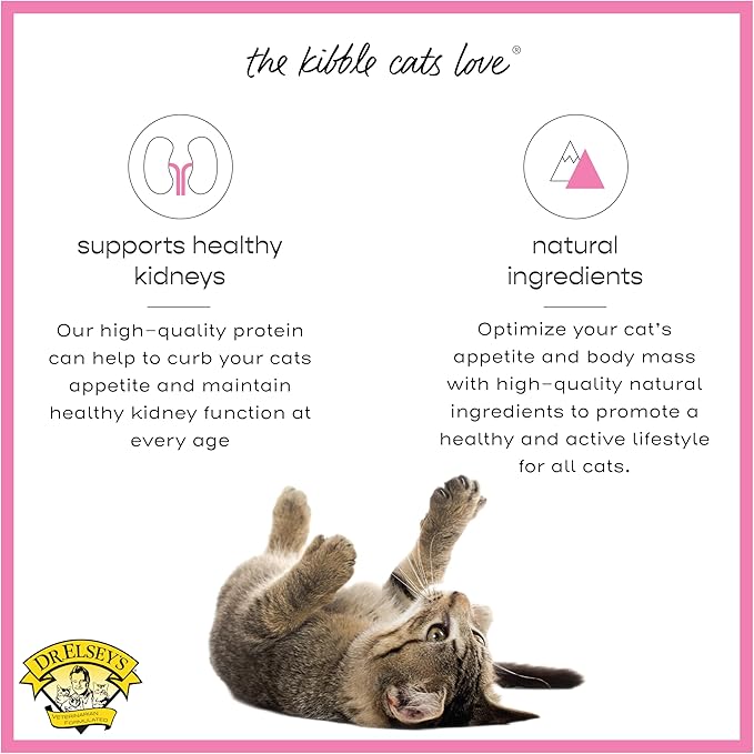 Dr. Elsey's cleanprotein Protein Bites Pork 6 oz.