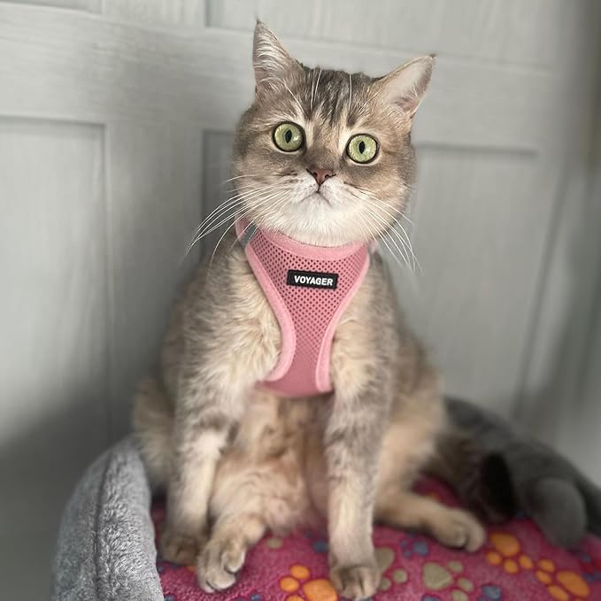 Voyager Step-in Air Cat Harness - All Weather Mesh Step in Vest Harness for Small and Medium Cats by Best Pet Supplies - Harness Leash Set (Pink), XXXS