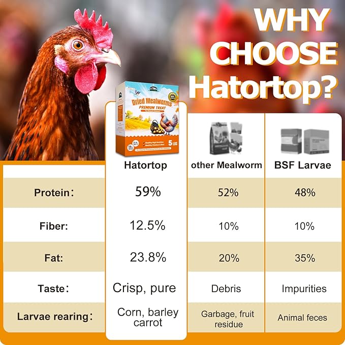 6LB (2LB*3) Dried Mealworms for Birds Treats Bulk - Non GMO Meal Worms Dried for Chickens, Wild Birds, Turkeys, Reptile Food - High Protein Grub Worms for Chickens for Laying Hens Chicken Worms