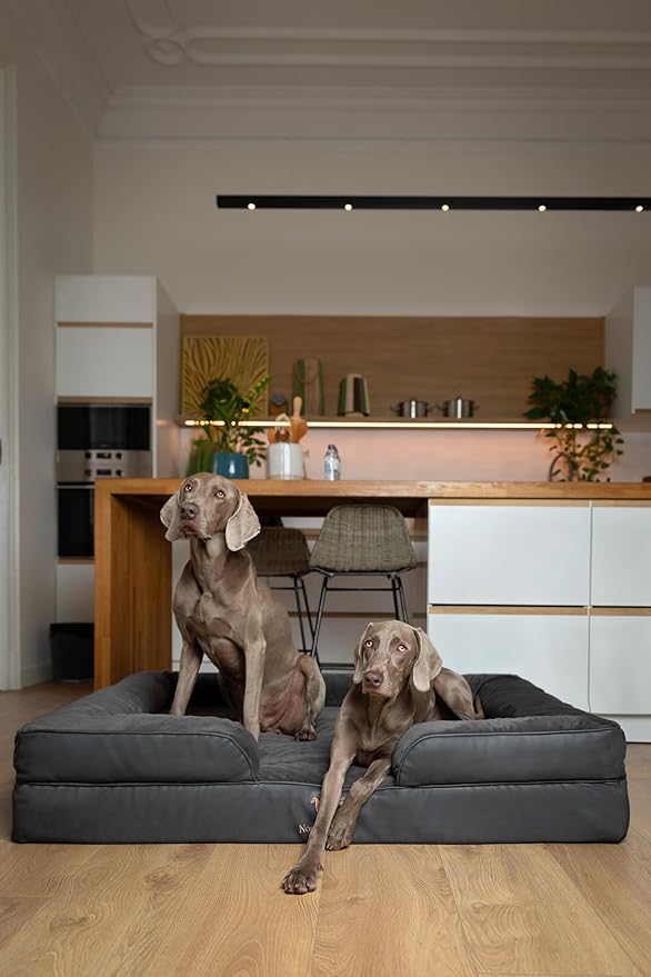 NOAH & PAW Giant Dog Bed XXL, 55x45x11 Inch, Orthopedic Dog Beds, Eggshell Memory Foam Infused with Cooling Gel, Inner Cover, Waterproof, Machine Washable (Faux Leather Sofa Collection)