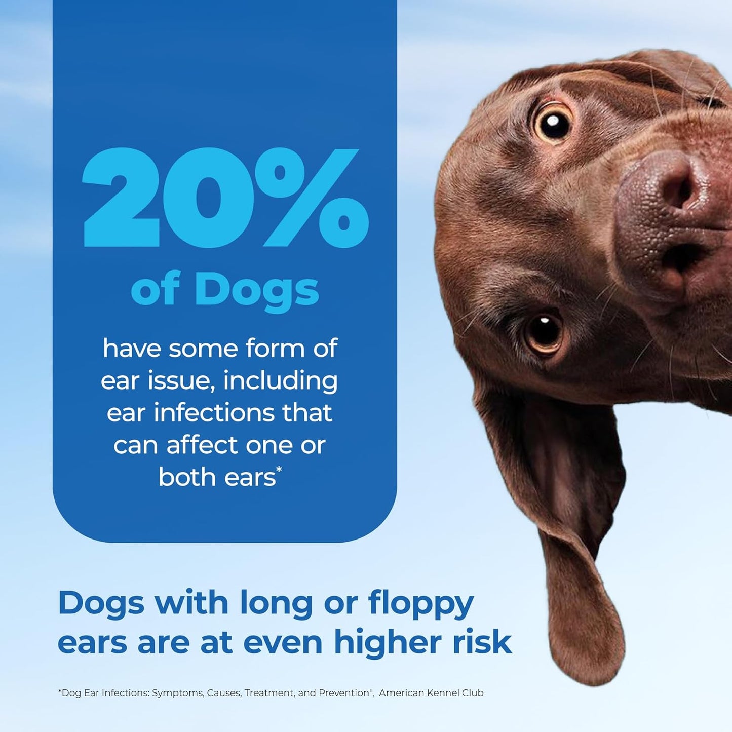 Vetnique Oticbliss Medicated Ear Wipes – Cat & Dog Ear Wipes with Hydrocortisone & Salicylic Acid for Cleaning & Odor Control – 50ct