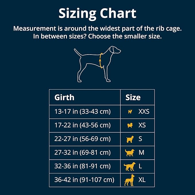 Ruffwear, Float Coat Dog Life Jacket, Premium Buoyancy Swim Vest with Lift Handle, Secure Fit & Reflective Trim, Adjustable Flotation for Swimming, Boating, & Outdoor Adventures, Blue Dusk, Small