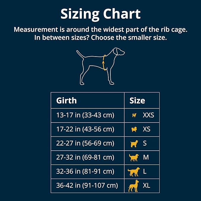 Ruffwear, Float Coat Dog Life Jacket, Premium Buoyancy Swim Vest with Lift Handle, Secure Fit & Reflective Trim, Adjustable Flotation for Swimming, Boating, & Outdoor Adventures, Wave Orange, Large