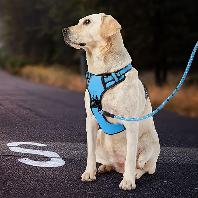 IVY&LANE No Pull Dog Harness for Large Dogs, Dog Vest Harness with Leash, Safety Belt and Storage Strap, Fully Adjustable Harness, 360° Reflective Strip, Soft Handle (Blue, L)