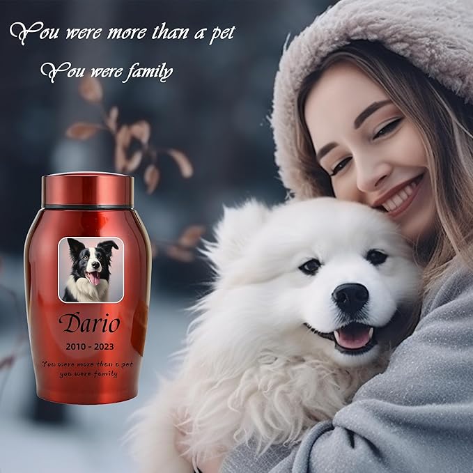 Custom Dog and Cat Urns for Ashes，Personalized Memorials Pet Urn for Ashes ，Custom Pet Name and Photo for Cremation Urns (Round)
