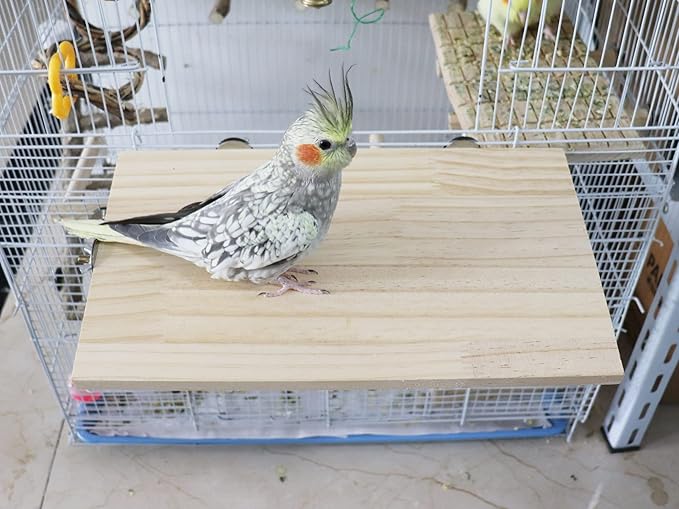 13.6×7.9 Inches Large Bird Perch Stand Platform, Natural Wooden Small Animals Cage Accessories, Rectangle Stand Perch Shelf for Parrot Parakeet Cockatiel Rat Hamster Guinea Pig Conure Chinchillas