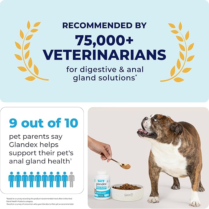 Vetnique Labs Glandex Dog Fiber Supplement Powder for Anal Glands with Pumpkin, Digestive Enzymes & Dog Probiotics for Digestive Health - Vet Recommended - Boot The Scoot (Vegan Salmon, 4.0oz Powder)