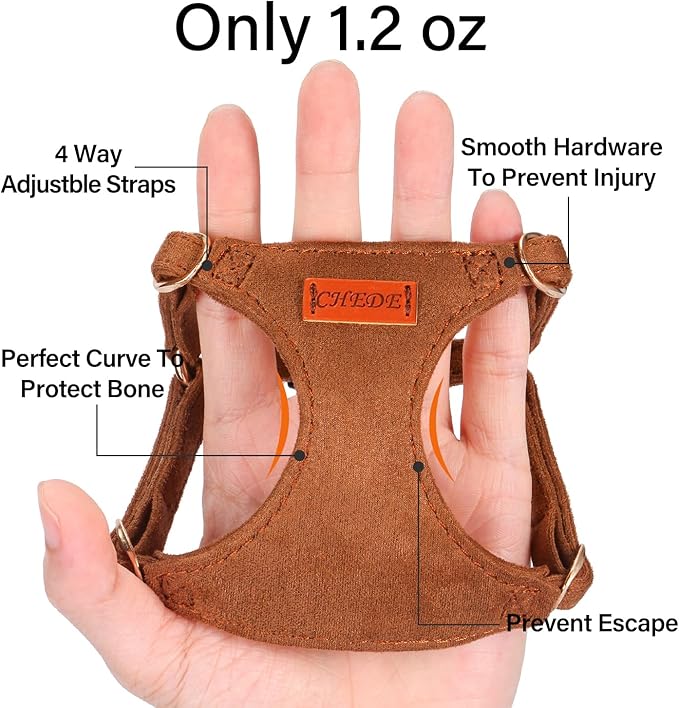 No Pull Dog Harness- Lightweight, Soft, Adjustable Small Harness Collar and Leash Set, Suitable for Cats Puppy Small and Medium-Sized Dog Outdoor Training and Running