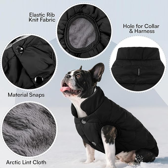 ASENKU Windproof Dog Winter Coat Waterproof Fleece Jacket Cold Weather Pet Apparel for Small Medium Large Dogs (Black, XL)