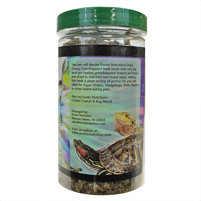 Groovy Grasshoppers - All Natural Healthy High Protein Insect Treat - Chickens, Birds, Hedgehogs, Bluebirds, Reptiles, Sugar Gliders, Opossums, Skunks, Lizards, Fish, Turtles, Amphibians (1.4 oz)