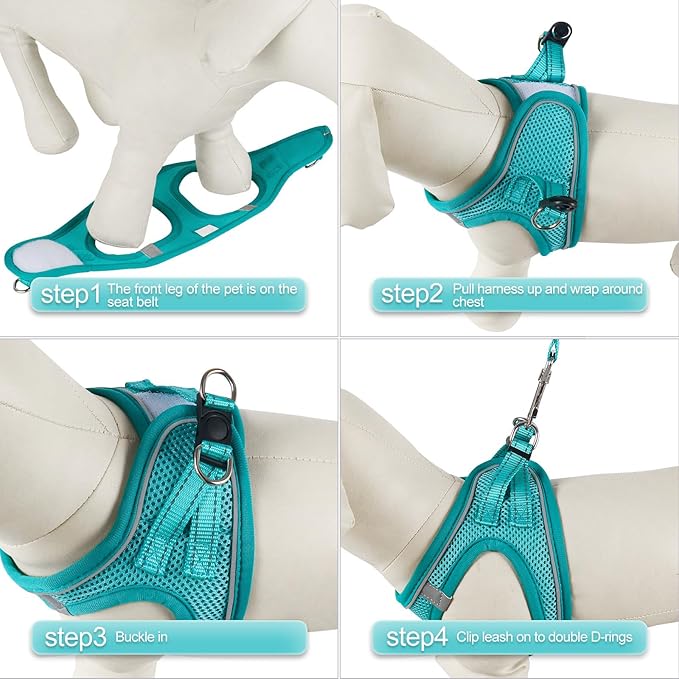 YIMEIS Dog Harness and Leash Set, No Pull Soft Mesh Pet Harness, Reflective Adjustable Puppy Vest for Small Medium Large Dogs, Cats (Turquoise, Medium (Pack of 1)