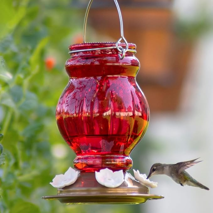 Nature's Way Hanging Glass Hummingbird Feeder for Outdoor Decor, 25 Ounce Capacity Nectar Feeder, 5 Easy to Clean Flexible Ports, Red