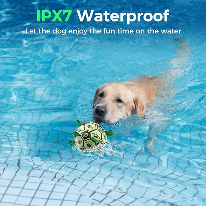 QDAN Premium Dog Ball, Glow in The Dark Dog Toys, Light Up Soccer Ball for Dogs, Outdoor Dog Toys, Doggy Water Toy, Puppy Birthday Gifts for Small Medium (6 Inch)