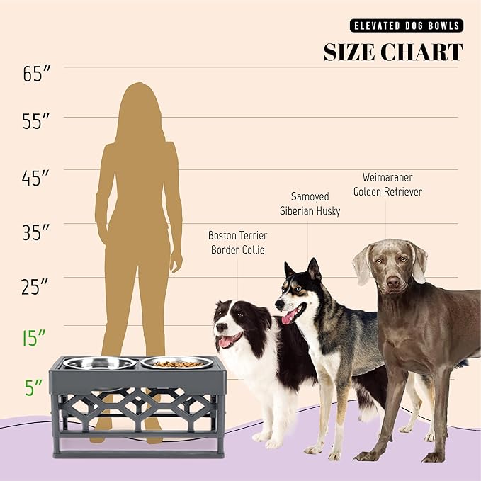 AVERYDAY Large Dog Bowls Elevated, 4 Height Adjustable Raised Dog Bowl Stand with 2 Stainless Steel Food and Water Bowls Set, Tall Dogs Feeding Station with Anti-Slip Base for Medium Large Breeds Dogs
