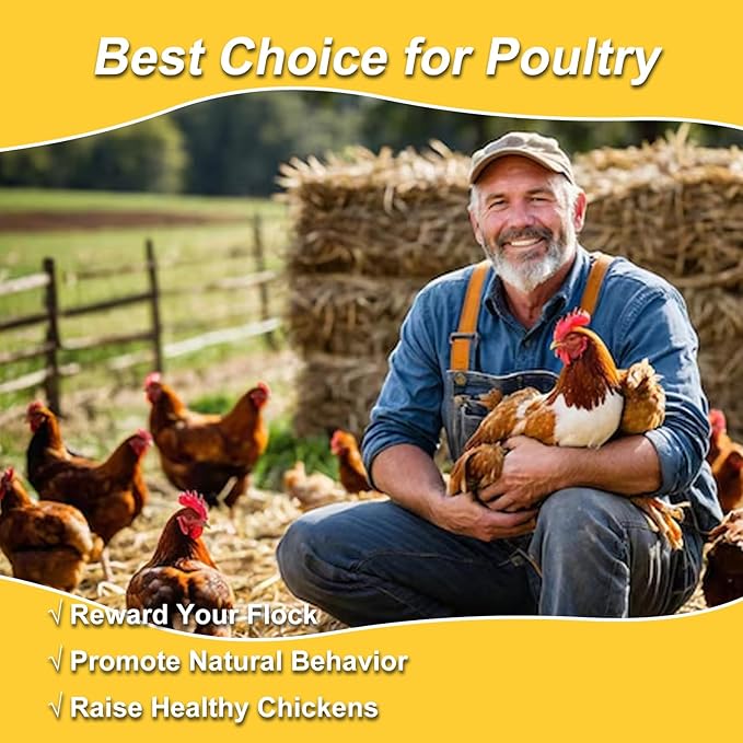 RANZ 10LBS Non-GMO Dried Mealworms for Chickens, High Protein Meal Worms, Premium Chicken Feed, Perfect Bird Food and Chicken Treats, Whole Large Mealworms for Wild Birds, Ducks, Fish