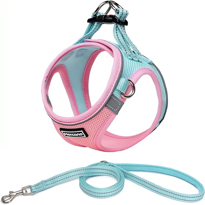 Mercano Soft Mesh Dog Harness and Leash Set, No-Chock Step-in Reflective Breathable Lightweight Easy Walk Vest Harnesses with Safety Buckle for Small Dogs, Cats (XL, Pink Blue)