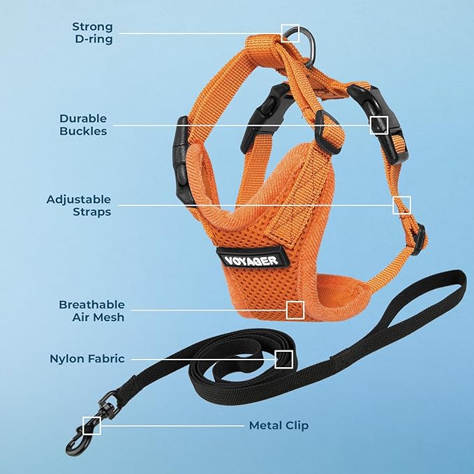 Voyager Step-in Lock Adjustable Cat Harness w. Cat Leash Combo Set with Neoprene Handle 5ft - Supports Small, Medium and Large Breed Cats by Best Pet Supplies - Orange, XS