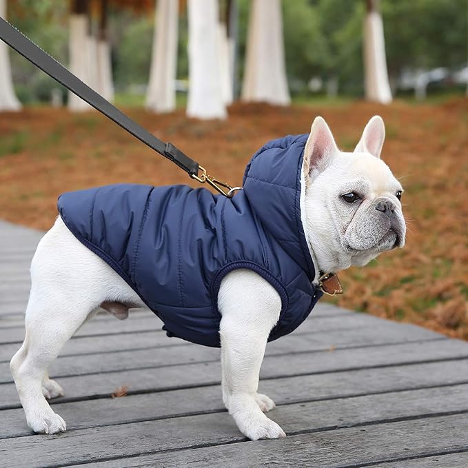 Fleece Hoodie, Windproof Waterproof Coat, Winter Warm Jacket, Cold Weather Pet Apparel Clothes Vest for Small Medium Large Dogs (XS, Blue)