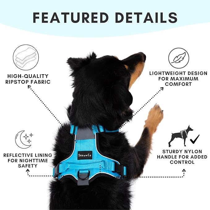 ShawnCo Basecamp Dog Harness, No-Pull Pet Vest with 3 Leash Clips, Padded, Reflective, Lightweight and Adjustable Harness with Handle for Small, Medium and Large Dogs (Electric Blue, XS)