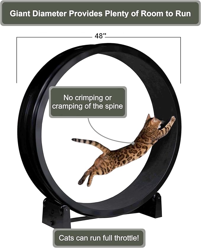 One Fast Cat - Cat Exercise Wheel - Gen. 7 - Safe 48" Diameter - Made in The USA - Black Wheel with Black Felt Traction Pads and Solid Inline Wheels