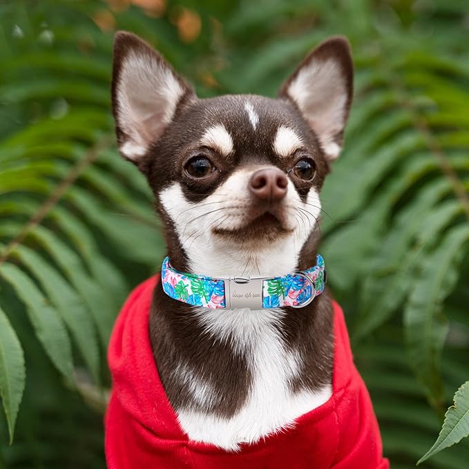 Unique Style Paws Metal Buckle Banana Leaves Dog Collar, Durable & Cute, Suitable for Small, Medium & Large Dogs, Unique Design, Superior Craftsmanship, Exceptional Customer Service