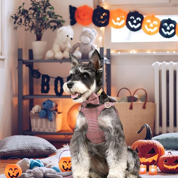 Beirui Cute Extra Small Dog Harness Collar and Leash Set with Bowtie, Soft Adjustable Plaid Puppy Harness for Small Sized Dogs Cats Walks Parties and Photoshoots(Maroon,XS:Chest 13-18")