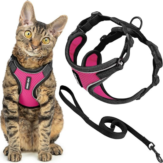 Voyager Escape Proof Cat Harness and Leash Set with Reflective Stitching, Neoprene Handle 5ft - Supports Small, Medium and Large Cats, Kittens for Walking by Best Pet Supplies - BT-Fuchsia, XXXS