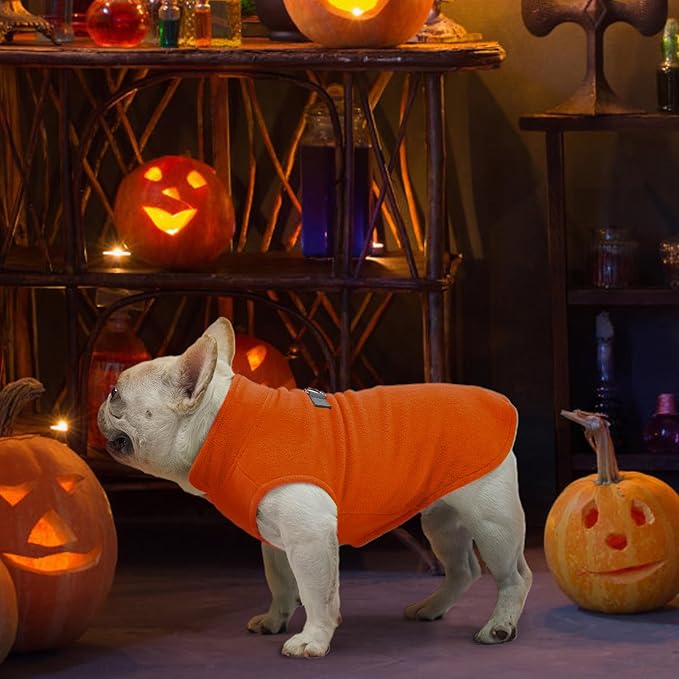 BEAUTYZOO Dog Fleece Vest Sweater Winter Jacket for Small and Medium Dogs with D-Ring Leash Cold Weather Coat Hoodie for XS S M Dogs Boy or Girls,Orange L