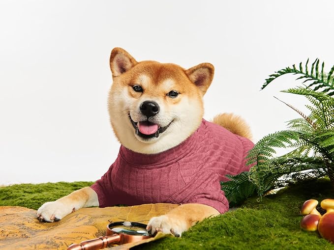 Dog Turtleneck Knitted Shirt Stretchy Pullover Sweater Winter Warm Puppy Clothes for Small Medium Dogs