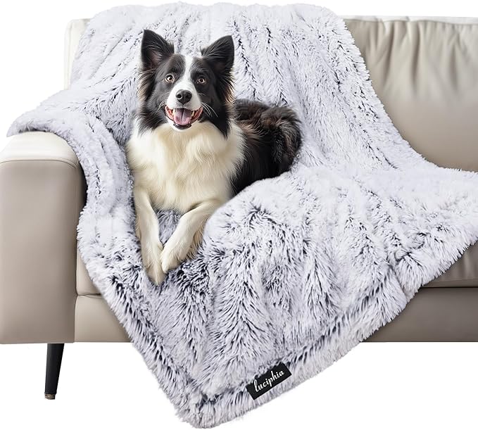 Luciphia Large Waterproof Dog Blanket for Pet Washable Liquid Proof Bed Intimacy Protection Shaggy Plush Calming Long Faux Fur Couch Cover Calming Cat Throw Blankets, Mist Grey, 50" x 60"
