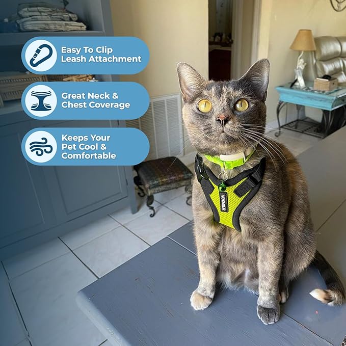 Voyager Step-in Lock Adjustable Cat Harness w. Cat Leash Combo Set with Neoprene Handle 5ft - Supports Small, Medium and Large Breed Cats by Best Pet Supplies - Lime Green/Black Trim, XS