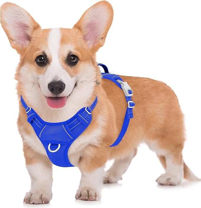 BARKBAY No Pull Dog Harness Large Reflective Dog Harness with Front Clip and Easy Control Handle for Walking Training Running with ID tag Pocket(Sapphire Blue,M)