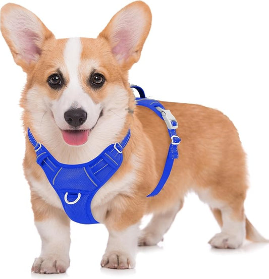 BARKBAY No Pull Dog Harness Large Reflective Dog Harness with Front Clip and Easy Control Handle for Walking Training Running with ID tag Pocket(Sapphire Blue,M)