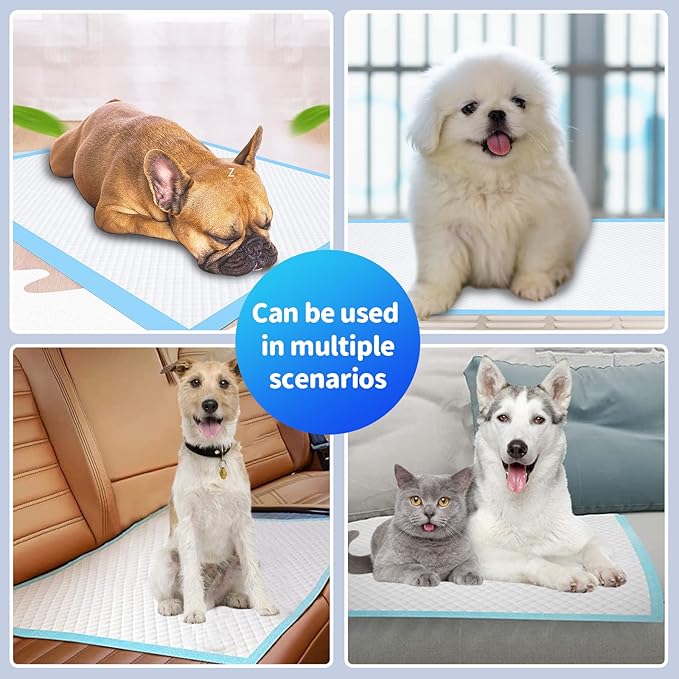 Upgrade Leak-Proof Pet Training and Puppy Pads, Jumbo Pee Pads for Dogs with Thicken Polymer Heavy Absorbency, Quick Dry Disposable Pee Pads for Cats Dogs - 30 Counts