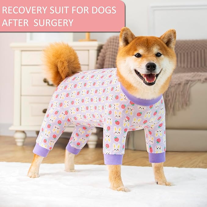 Dog Recovery Suit for Small Medium Large Dogs, Pet Onesie After Surgery Comfort Dog Bodysuit Anti Licking (3X-Large, Purple Bunny)