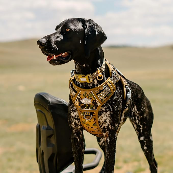 AUROTH Tactical Dog Harness for Small Medium Dogs No Pull Adjustable Pet Harness Reflective K9 Working Training Easy Control Pet Vest Military Service Dog Harnesses Woodland Camo S